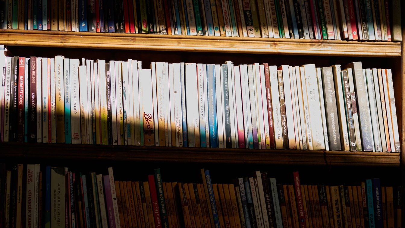 Rows of books on a sunlit wooden library shelf